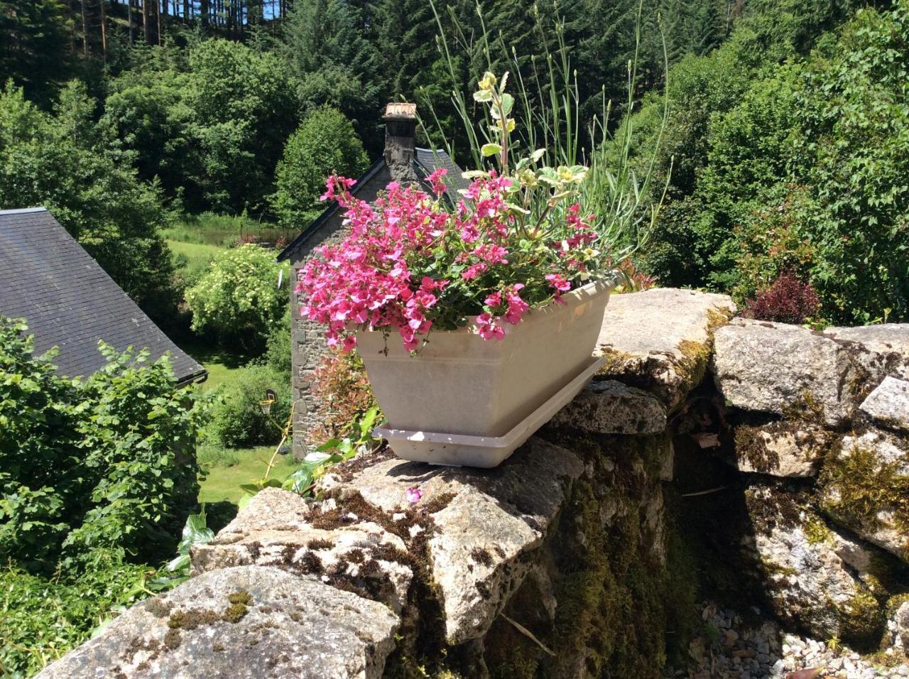 Le Moulin Des Farges Bed and Breakfast Meymac Exteriör bild