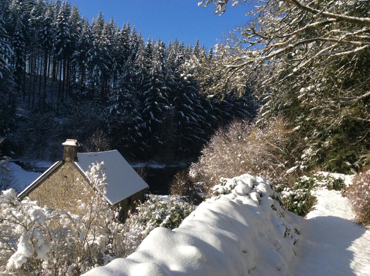 Le Moulin Des Farges Bed and Breakfast Meymac Exteriör bild